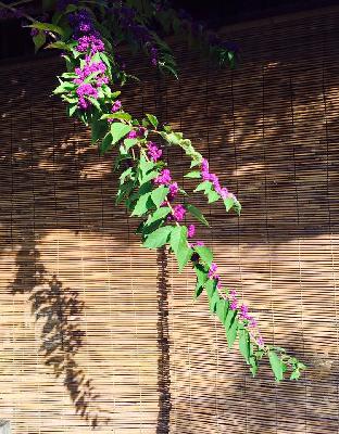 【芬解心得】15. 人际关系靠“常相思，牢记恩”