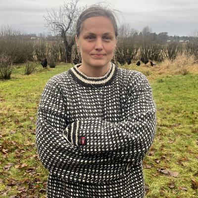 Kritik mot nätbutikernas ”mejlterror”