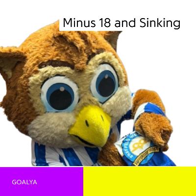 Minus 18 and Sinking: The Financial Collapse of Sheffield Wednesday