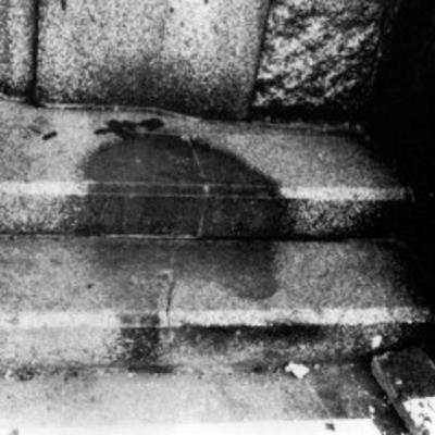 Hiroshima: The Shadows Hiroshima: The Shadows