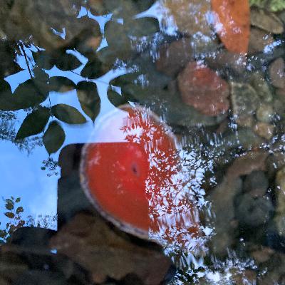 Elixir