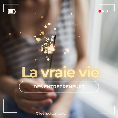 39. J'ai participé au sommet des entrepreneurs du milieu ® de Claire @Alveareandco (leçons).
