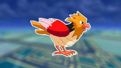 Spearow | Stats, Moves, Evolution & Locations | The Pokemon Pokedex With Rhys & Felicity