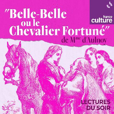 "Belle-Belle ou Le Chevalier Fortuné", un conte de Madame d’Aulnoy 1/5 : La fée