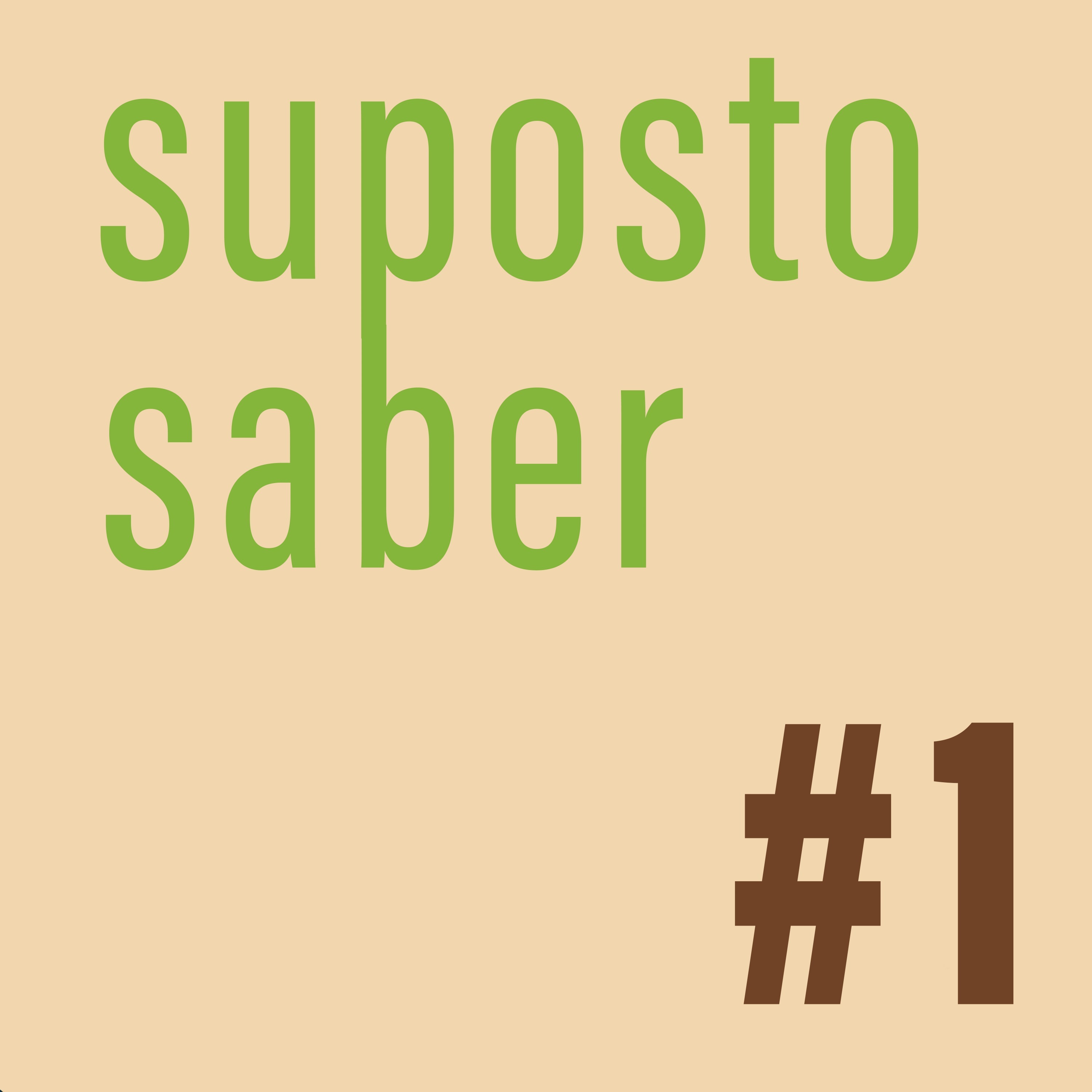 Suposto Saber  |  Episódio #01  - Iniciando os trabalhos