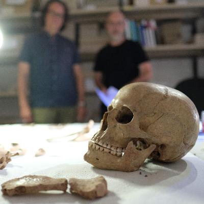 What 9,000 year old remains in Germany tell us about human development What 9,000 year old remains in Germany tell us about human development