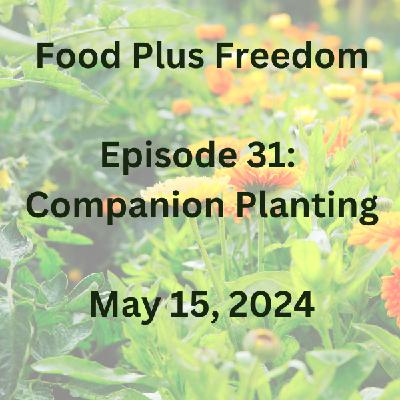 Episode 31: Companion Planting