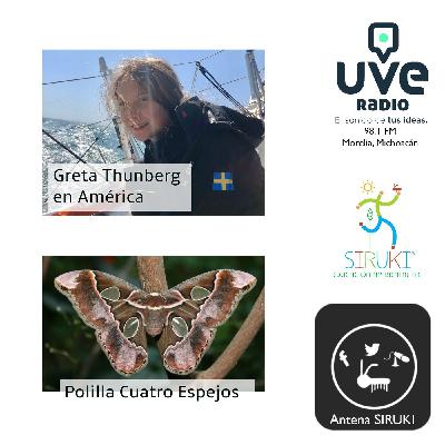 Programa 81-Greta Thunberg en América, Polilla Cuatro Espejos.