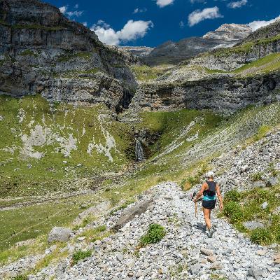 Caminantes - Walk & Art Fest - 23/10/24 Caminantes - Walk & Art Fest - 23/10/24