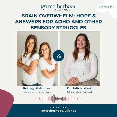 Brain Overwhelm: Hope & Answers for ADHD and Other Sensory Struggles w/ Dr. Felicia Houk | Shifting Tides Chiropractic