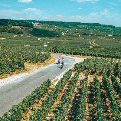 Journée "En rou(t)e libre" du dimanche 29 juin : L'ADT recherche des bénévoles