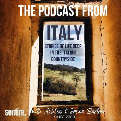 #183 - Thanksgiving as an Expat in Italy, Truffle Festivals and a Big Butchery Workshop! #183 - Thanksgiving as an Expat in Italy, Truffle Festivals and a Big Butchery Workshop!