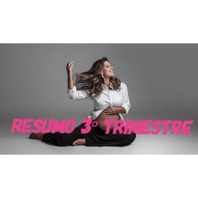 Resumo do terceiro trimestre #13 áudio do diário de Gravidez