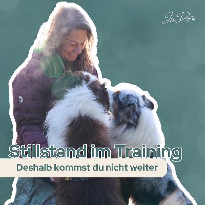 Warum dein Hund tut, was er tut - Dieser Faktor wird beim Training oft vergessen!