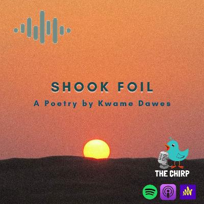 S2E5 SHOOK FOIL by Kwames Dawes|A Poetry Reading Edition