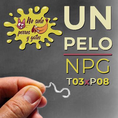 No Solo Perros y Gatos T03xE8: Cuando los micros críen pelo