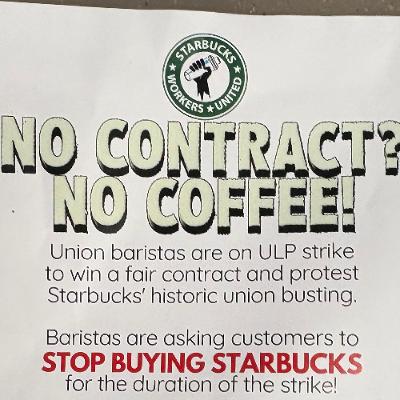 Red Cup Rebellion- Albany