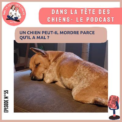Un chien peut-il mordre parce qu'il a mal ?