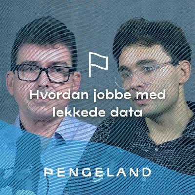 Hvordan jobbe med lekkede data