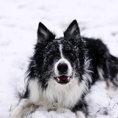 Episode 3 - Goal Setting & Training Plans