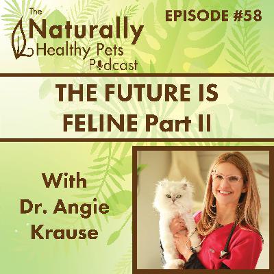 EP 58: The Future is Feline Part 2 with Dr. Angie Krause