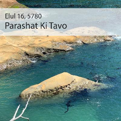 AE: Torah for the Earth - Ki Tavo AE: Torah for the Earth - Ki Tavo