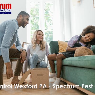 Pest Control Wexford PA