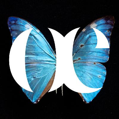 Episode 12 - Sombre réparation - Lionel Sabatté Episode 12 - Sombre réparation - Lionel Sabatté