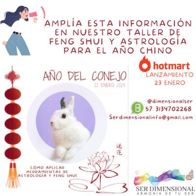 Año Nuevo Chino, cultura china en occidente