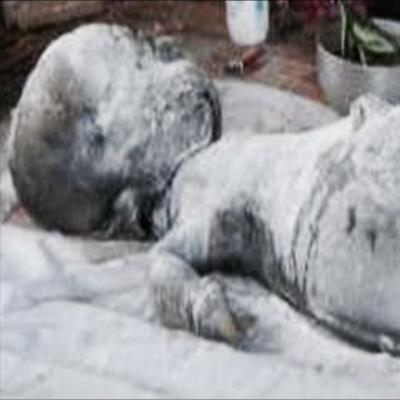 Top 15 STRANGEST Unidentified Creatures Ever Found Top 15 STRANGEST Unidentified Creatures Ever Found