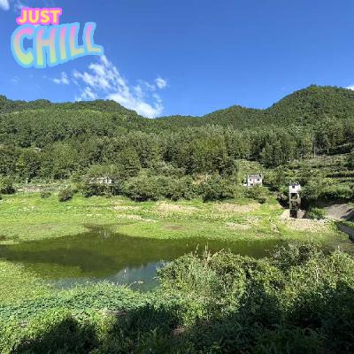 JUST CHILL｜在碧山村的一次青年导演聚会，接下来导演该拍什么？