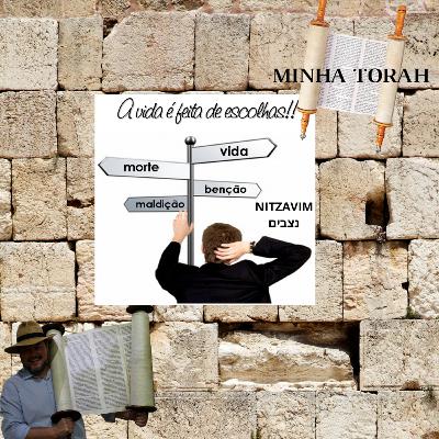 NITZAVIM - PARADOS