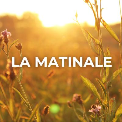 20251113-lamatinale 20251113-lamatinale