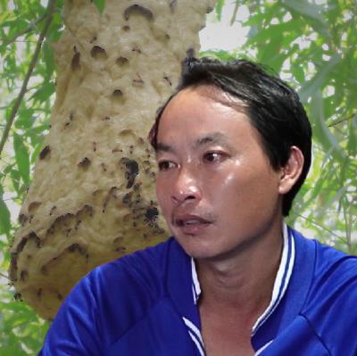 Xót xa lời kể của người chồng, sau khi vợ qua đời vì bị ong đốt hơn 200 vết