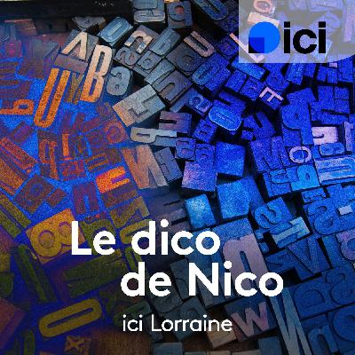 Le dico de Nico : MARSAL Le dico de Nico : MARSAL