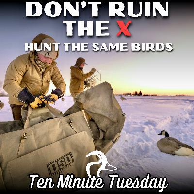 Don’t Ruin the X, Hunt the Same Birds