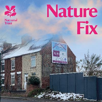 Ghost Signs and Hidden High Street Heritage Walk