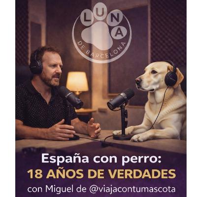 ¿España es realmente pet-friendly o solo parece serlo? ¿España es realmente pet-friendly o solo parece serlo?