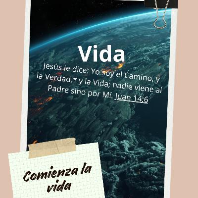 Vida T6 Ep9