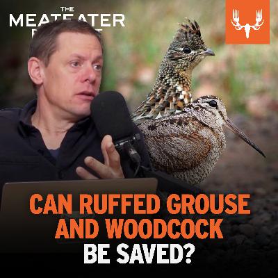 Ep. 845: Can Ruffed Grouse and Woodcock Be Saved?