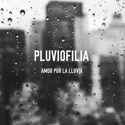 Sound Of Rain - Sonido de lluvia real aviéntales, aves y tren