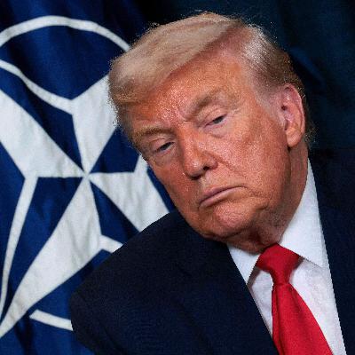 Should NATO be pay-to-protect?
