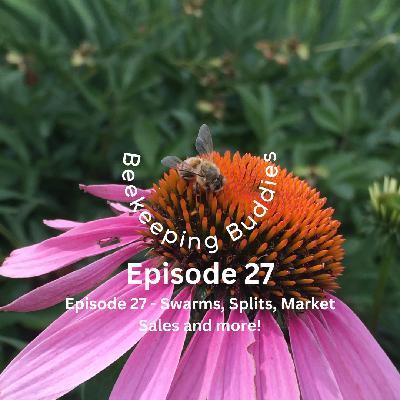 Episode 27 - Swarms, Splits, Market Sales and more!