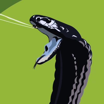 How Poison and Venom Actually Works