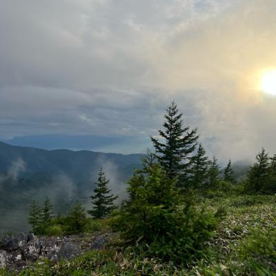 中央分水嶺トレイルからお届け