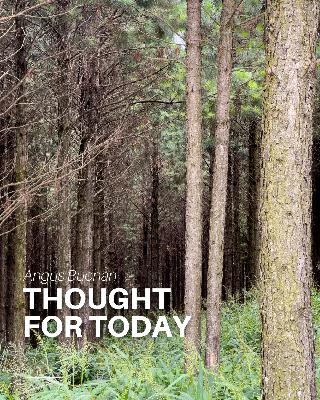 Like Jesus Like Jesus