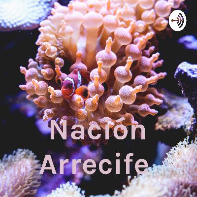 Retorno de nación arrecife