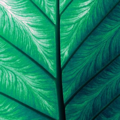 #100: Mô hình vận hành phòng Nhân sự hiện tại & tương lai #100: Mô hình vận hành phòng Nhân sự hiện tại & tương lai