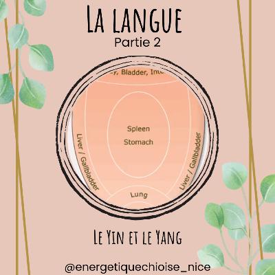 La langue - Partie 2