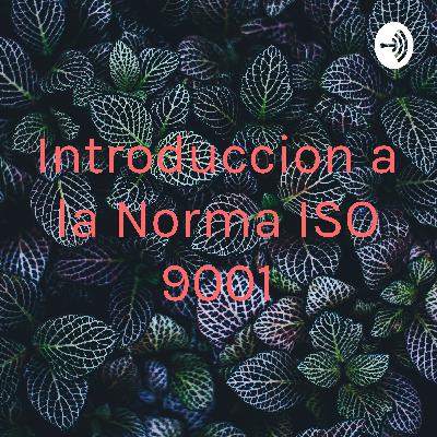 Introduccion a la norma ISO 9001